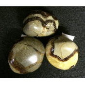 Septarian