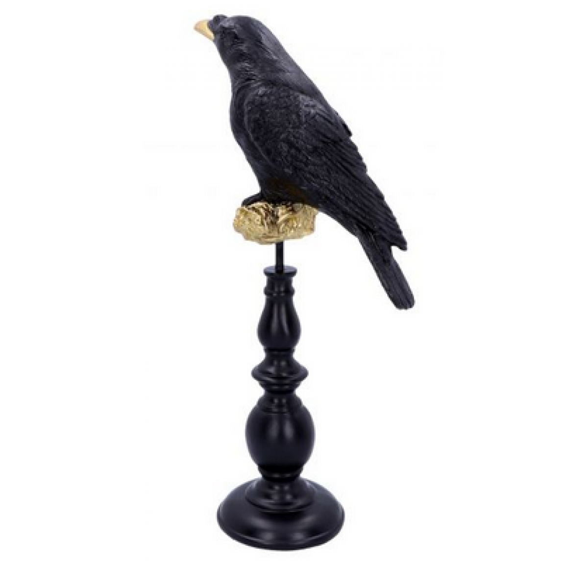 Ravens watch