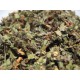 Herb Plantain Leaf 10gm