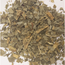 Angelica 10g herb