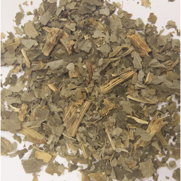 Herb Angelica 10g 