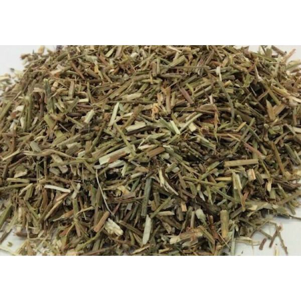 Herb Vervain 5gm
