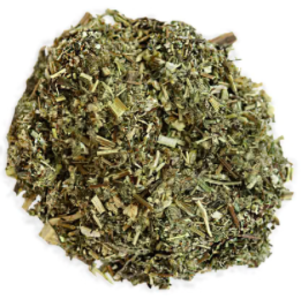 Herb Mugwort 8g