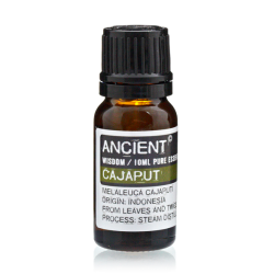 Essential Oil Cajeput 